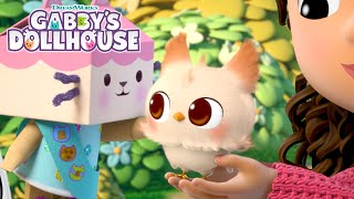 Finding the Baby MeOwls Mama  GABBYS DOLLHOUSE  Netflix [upl. by Bonnell]