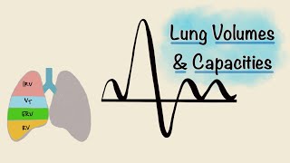 Lung Volumes and Capacities  Spirogram  Spirometry  Respiratory Physiology [upl. by Hayward776]