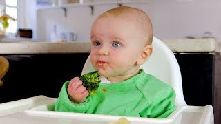 Babyled weaning basics [upl. by Handal468]