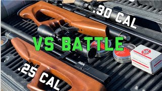 AEA Challenger Air Rifle 25 VS 30 Caliber Full Review Economy Meets POWER [upl. by Bendicta]