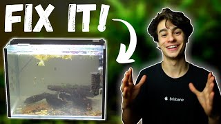 How to Fix Cloudy Water in an Aquarium Easiest Method [upl. by Olivier235]