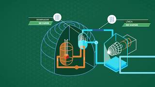 Argentina Nuclear  NUCLEOELÉCTRICA ARGENTINA SA  Minem 2017 [upl. by Anett]