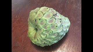 How to cut open cherimoya fruits [upl. by Leanahtan]