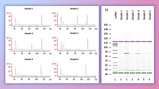 Forensic DNA Profiling Part I [upl. by Tuneberg769]