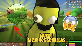 Las mejores semillas de todo el juego Muck ° Incredible the 5 seeds to play Muck [upl. by Eednahs]