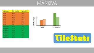 MANOVA  explained with a simple example [upl. by Ayrotal]