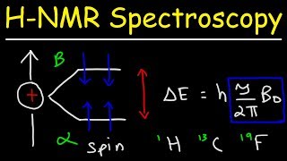 Basic Introduction to NMR Spectroscopy [upl. by Vern76]