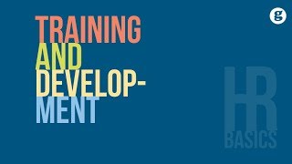 HR Basics Training and Development [upl. by Iona643]