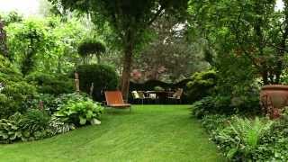 Moderne Gartengestaltung mit Pflanzen [upl. by Buchbinder]