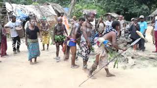 Mbuti Pygmy International Day of the Worlds Indigenous Peoples Traditional Dance [upl. by Knutson]