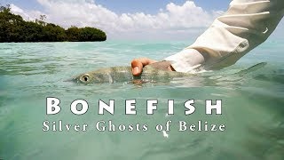 Bonefishing on the Fly in Ambergris Caye Belize [upl. by Church]