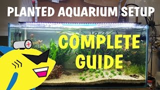 PLANTED AQUARIUM SETUP Complete Guide To A Soil Planted Tank [upl. by Giuseppe631]