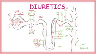 Osmotic Diuretics  Pharmacology [upl. by Bocoj]