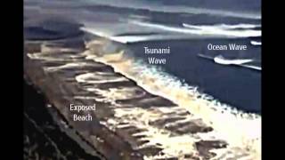 What is Tsunami Drawback  Will Bond [upl. by Ytram]