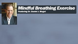 Mindful Breathing with Dr Daniel J Siegel [upl. by Aroon]