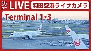 【ライブカメラ】羽田空港 quotT1quot quotT3quot HANEDATokyo International Airport（日テレNEWS LIVE） [upl. by Nivi]