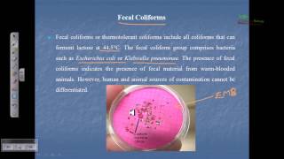 Indicator organism fecal coliform total coliform [upl. by Karilynn722]