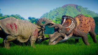 Triceratops vs Sinoceratops Herd Fighting Over Territory  Jurassic World Evolution Dinosaurs Battle [upl. by Millham]