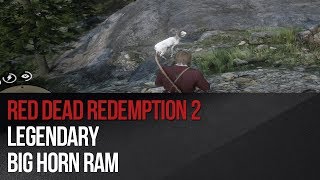 Red Dead Redemption 2  Legendary Big Horn Ram [upl. by Rahmann768]