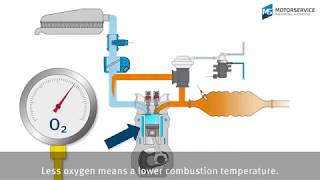 Exhaust gas recirculation EGR made easy [upl. by Netsyrc21]