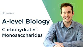 Carbohydrates Monosaccharides  Alevel Biology  OCR AQA Edexcel [upl. by Ayahsal948]