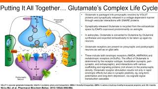 The Role of Glutamatergic Signaling in Major Depressive Disorder [upl. by Pete]