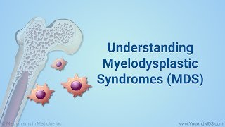 Understanding Myelodysplastic Syndromes MDS [upl. by Ahsinra]