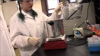 Enzymatic Hydrolysis Instructional Video [upl. by Ydolem]