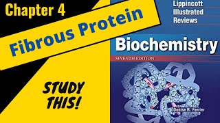 Lippincotts Biochemistry Review Chapter 4 Fibrous Proteins  Study This [upl. by Barthol]