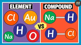 Difference Between Element and Compound  Chemistry [upl. by Yerffoj602]