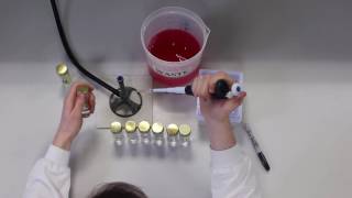 Serial Dilution [upl. by Emelia]