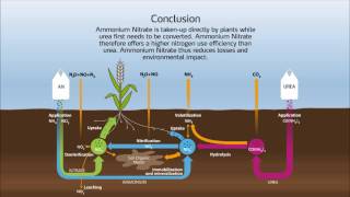 Nitrogen cycle in the soil [upl. by Arama]