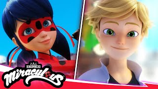 MIRACULOUS  🐞 PERFECTION 🐾  SEASON 5  Tales of Ladybug amp Cat Noir [upl. by Galateah]