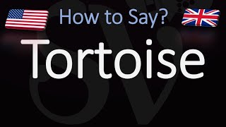 How to Pronounce Tortoise CORRECTLY [upl. by Ellette373]