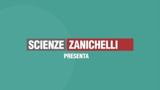 Come si prepara una soluzione  Scienze Zanichelli [upl. by Cerallua]