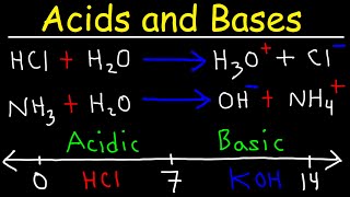 Acids and Bases  Basic Introduction  Chemistry [upl. by Nosemyaj]