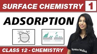 Surface Chemistry 01  Adsorption  Class 12 NCERT [upl. by Ellett]