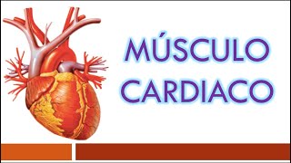 TEJIDO MUSCULAR Músculo Cardiaco [upl. by Elbert]