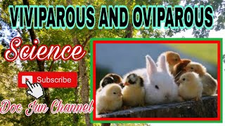 VIVIPAROUS and OVIPAROUS ANIMALS  Science for kids [upl. by Marpet777]