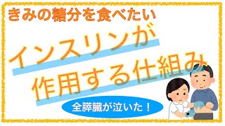 教科書をわかりやすく！「インスリンが作用する仕組み」 [upl. by Fabozzi]