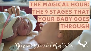 The Magical Hour After Birth amp the 9 Stages Your Baby Goes Through [upl. by Rayham]