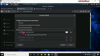 How To Configure Your PROXY SERVER Settings In Kali Linux [upl. by Anawaj]