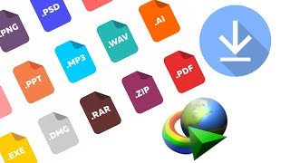 How to Download All Type Of File In IDM [upl. by Libove994]