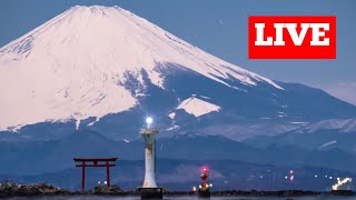 LIVECAM HAYAMA JAPAN [upl. by Nylirad]