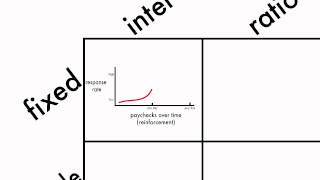 Learning Schedules of Reinforcement [upl. by Etom]