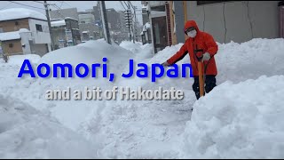 Aomori Japan  Record Winter Storm Snow [upl. by Damarra964]