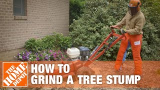 How To Grind A Tree Stump  The Home Depot [upl. by Aihsenat627]