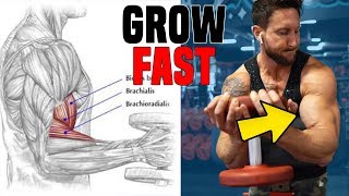 5 Exercises You Must Try For Bigger Bicep Peaks [upl. by Azriel]