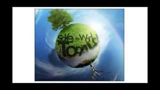 Environmental Sustainability Definition [upl. by Raney]