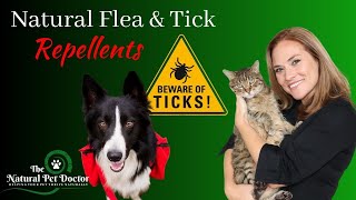 Natural Flea And Tick Remedies For Dogs and Cats [upl. by Meakem]